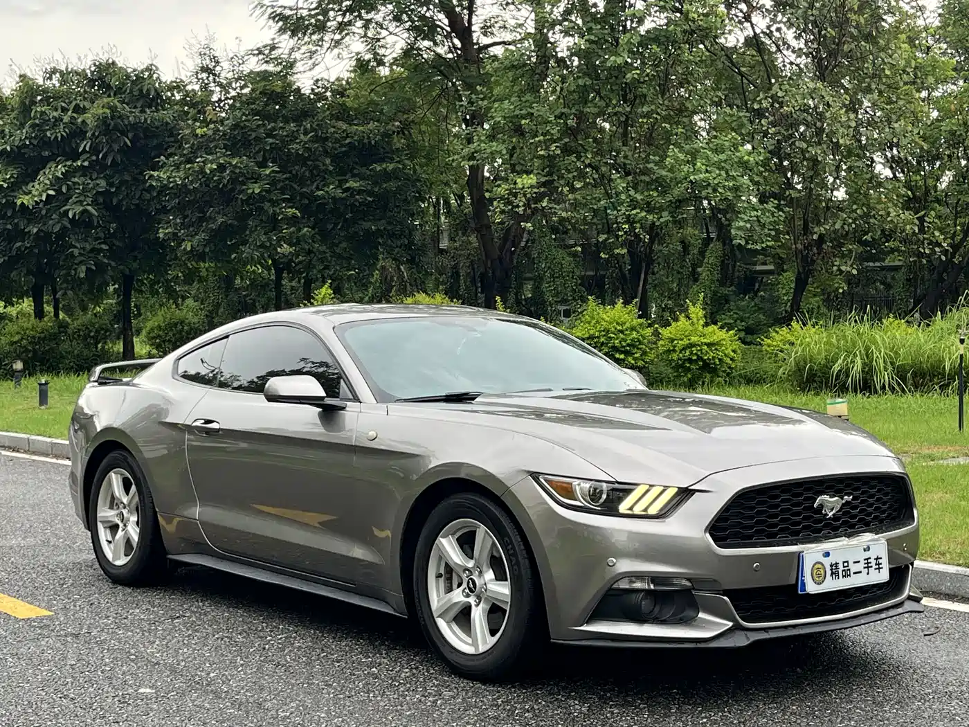 Ford Mustang 2015 2015 2.3T 50th Anniversary Edition
