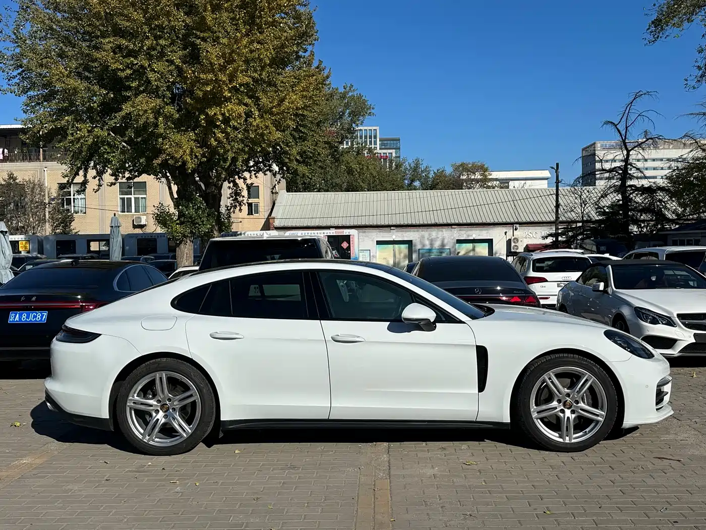 Porsche Panamera 2023 Panamera 2.9T фото 11