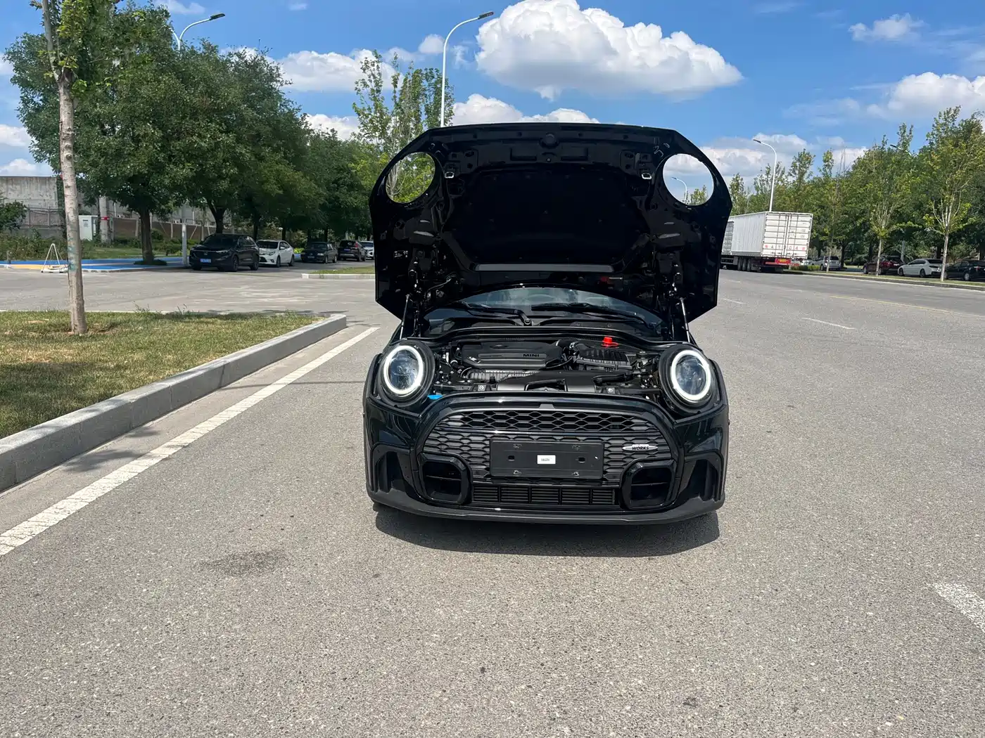 MINI COUNTRYMAN 2022 2022 2.0T COOPER S ALL4 Black Label Special Edition