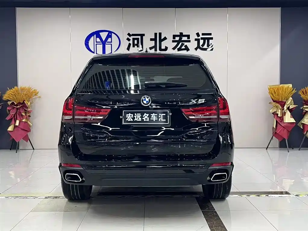 BMW X5 (Import) 2018 xDrive35i Elegant Model фото 4
