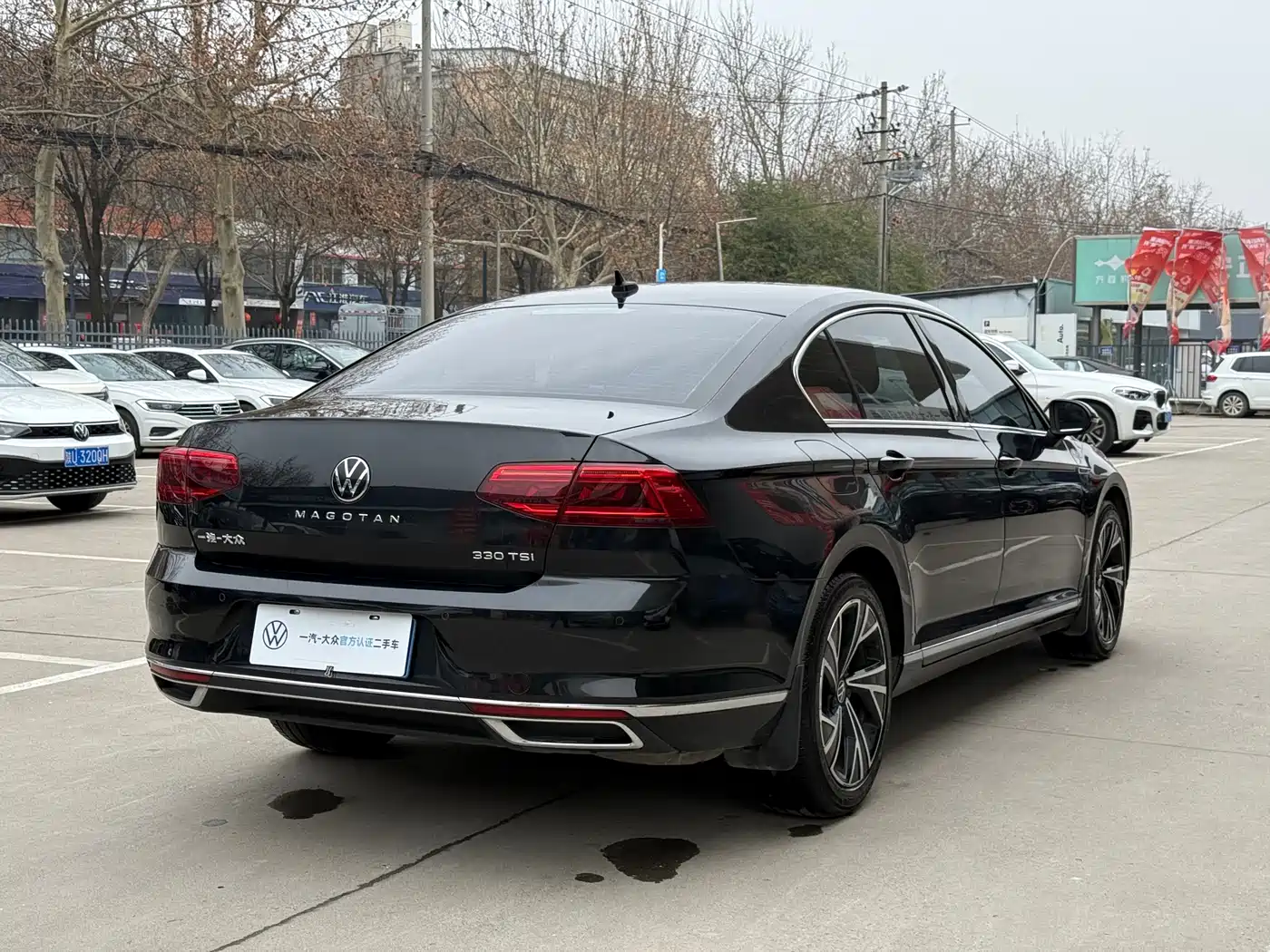 VOLKSWAGEN MAGOTAN