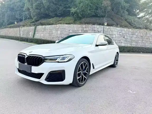 BMW 5 Series Рестайлинг, 530i, M Спорт-пакет