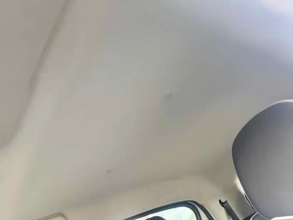 Ora Black Cat 2019 2019 Model 351km Smart Fun Edition