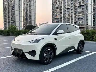 BYD Seagull
