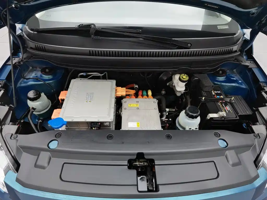 Dayun Yuehu 2021 2021 32.85kWh 2WD Elf Edition