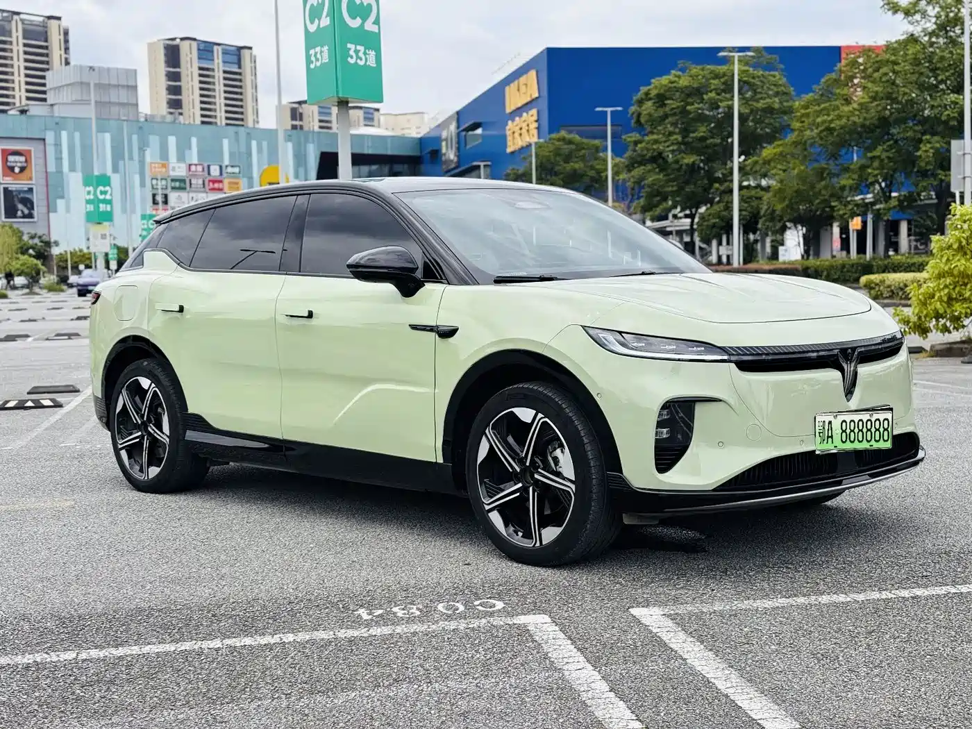 2025 Voyah Auto Voyah Zhiyin