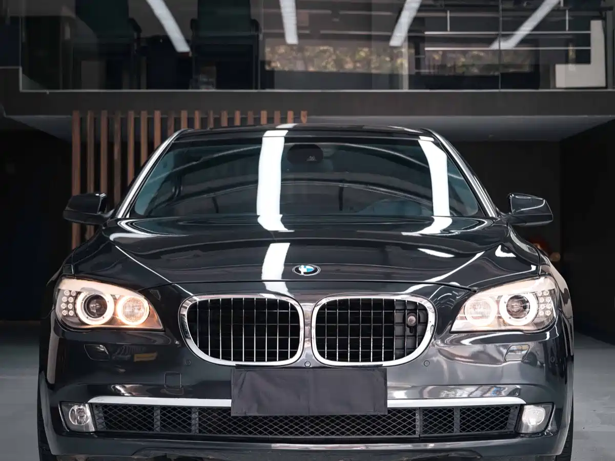 BMW 7 Series 2009 750Li Premium фото 2