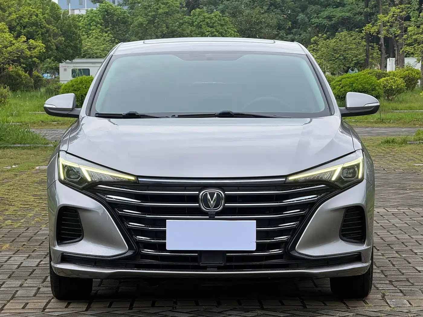 Фото 2 - Changan Eado