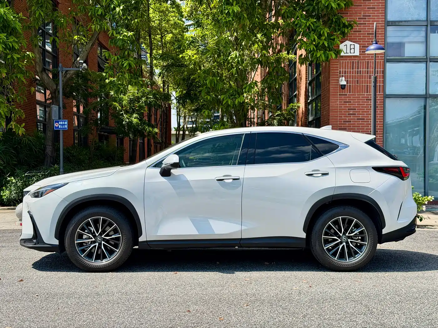 Lexus NX 2024 2024 260 FWD Joy Creation Edition