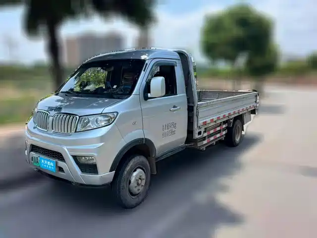  SRM Xinyuan Xinyuan T50 EV 2021 Startup Truck