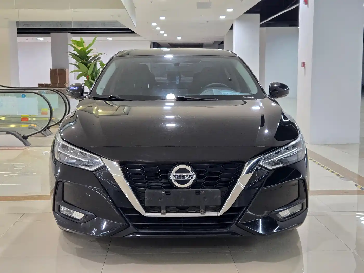 Фото 1 - Nissan Sylphy