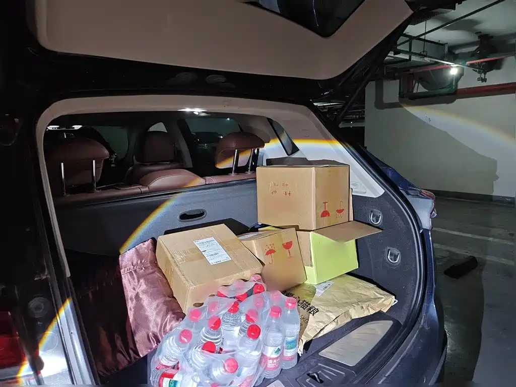 Buick Envision Plus 2019 28T AWD Elite Model China VI фото 10