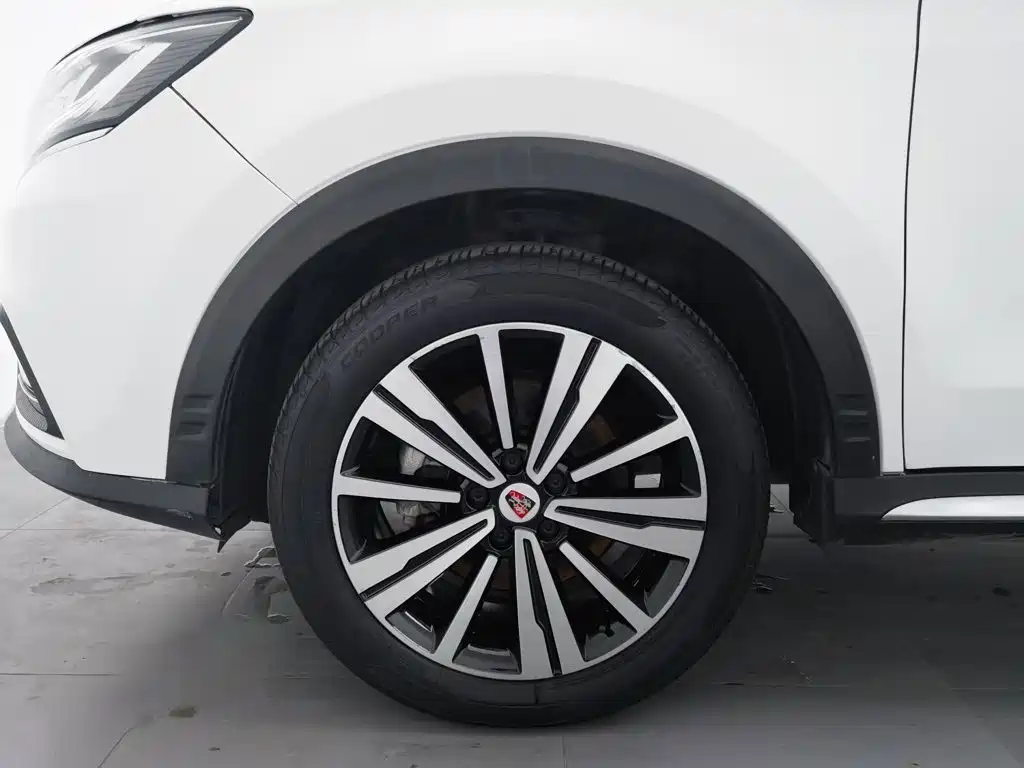 Фото 17 - Roewe RX5