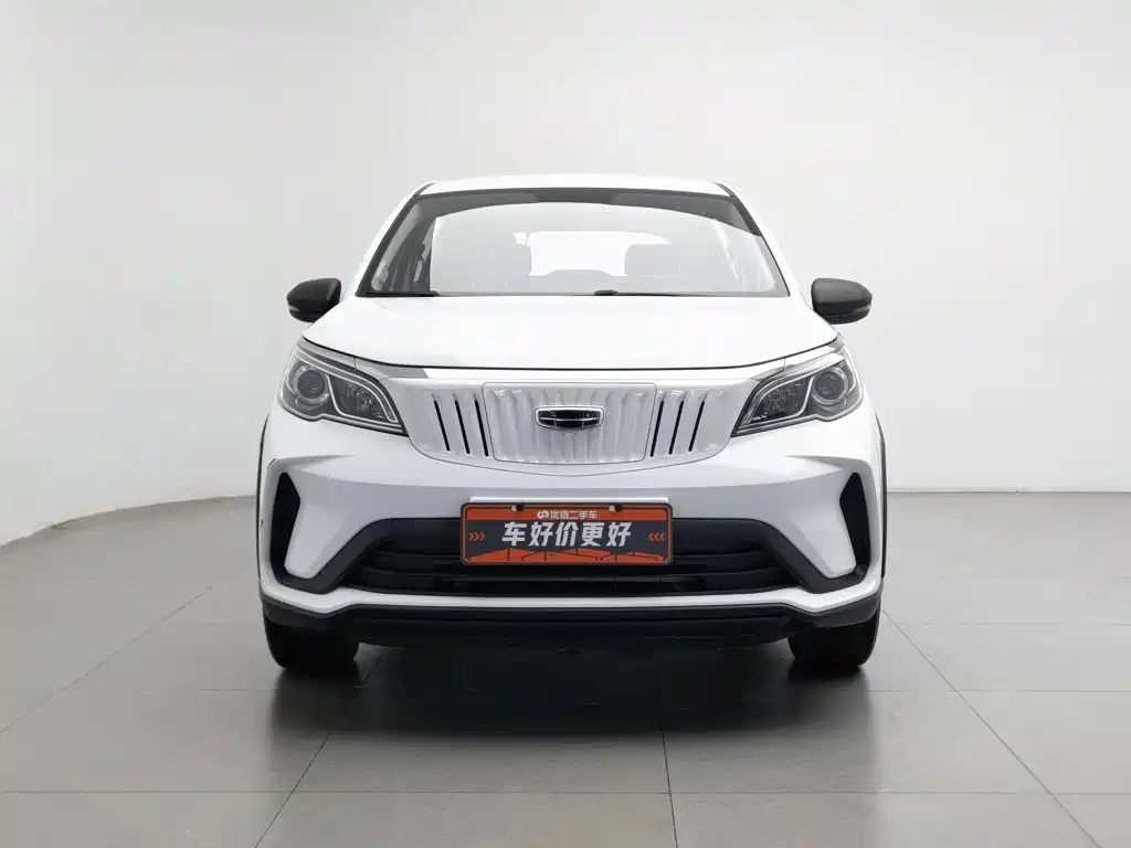 Geely Geometry EX3 Kung Fu Bull 2021 2021 Strong Bull