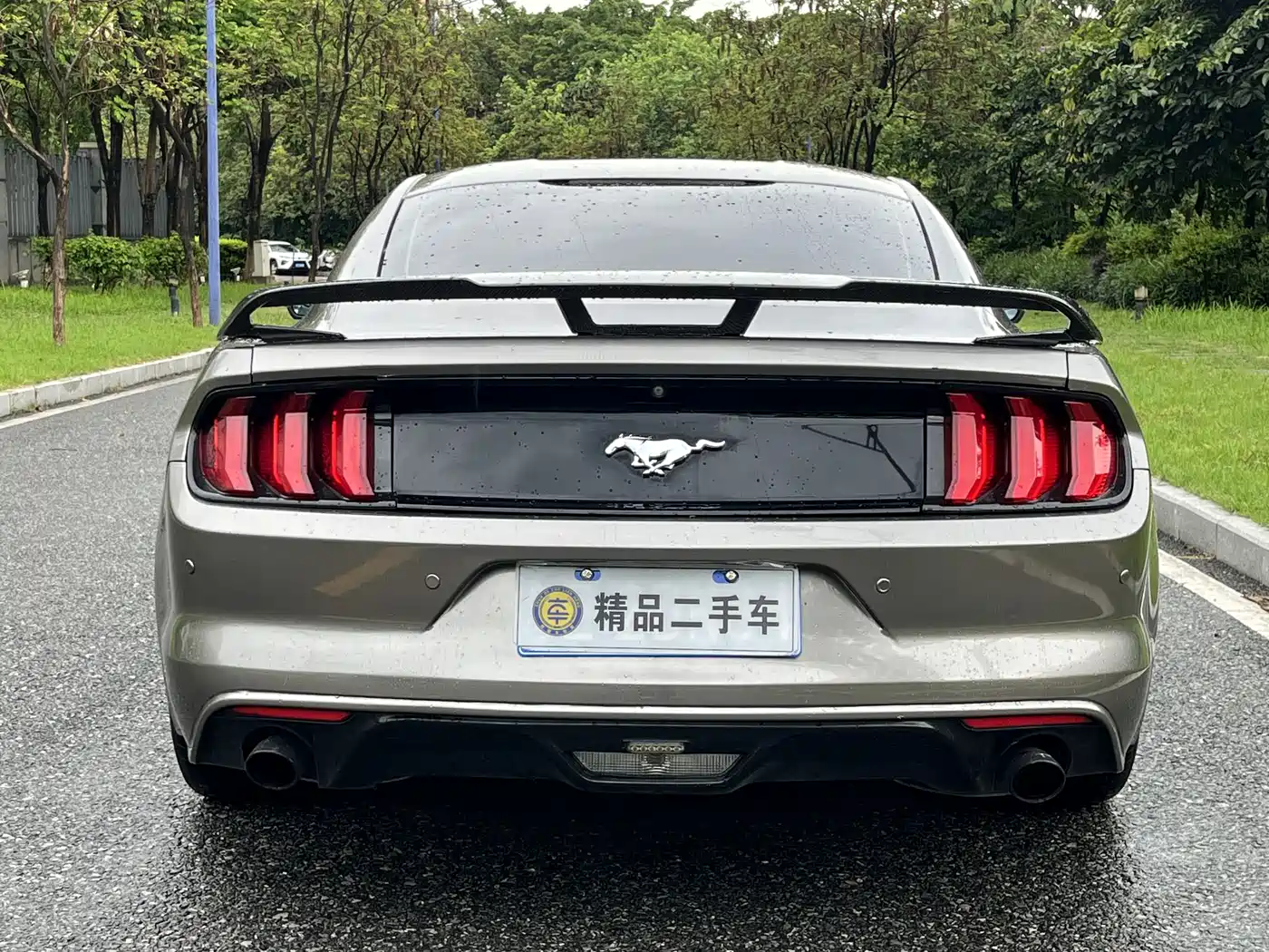 Ford Mustang 2015 2015 2.3T 50th Anniversary Edition