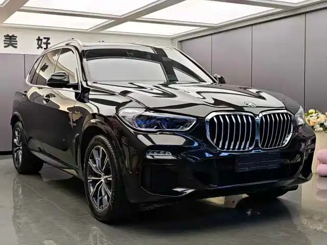 BMW X5 (Import) 2019 xDrive40i M Sport Package фото 3