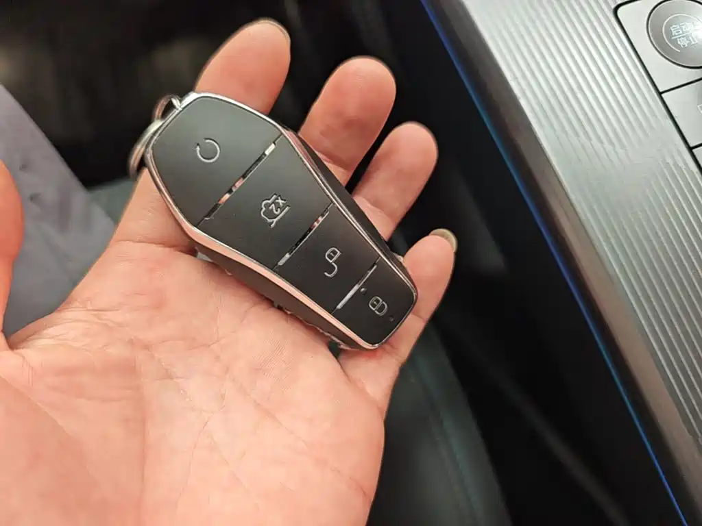 BYD Song L DM-i 2025 2025 Smart Drive 160km Premium