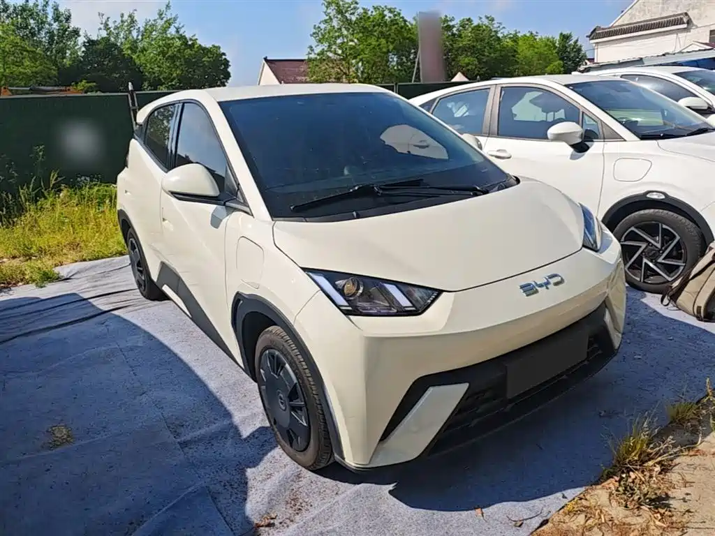 BYD Seagull 2024 Glory Edition 305km Vitality Edition фото 4