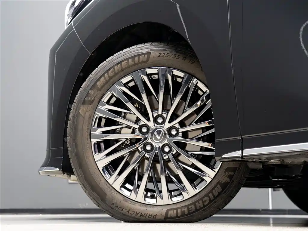 LEXUS LM