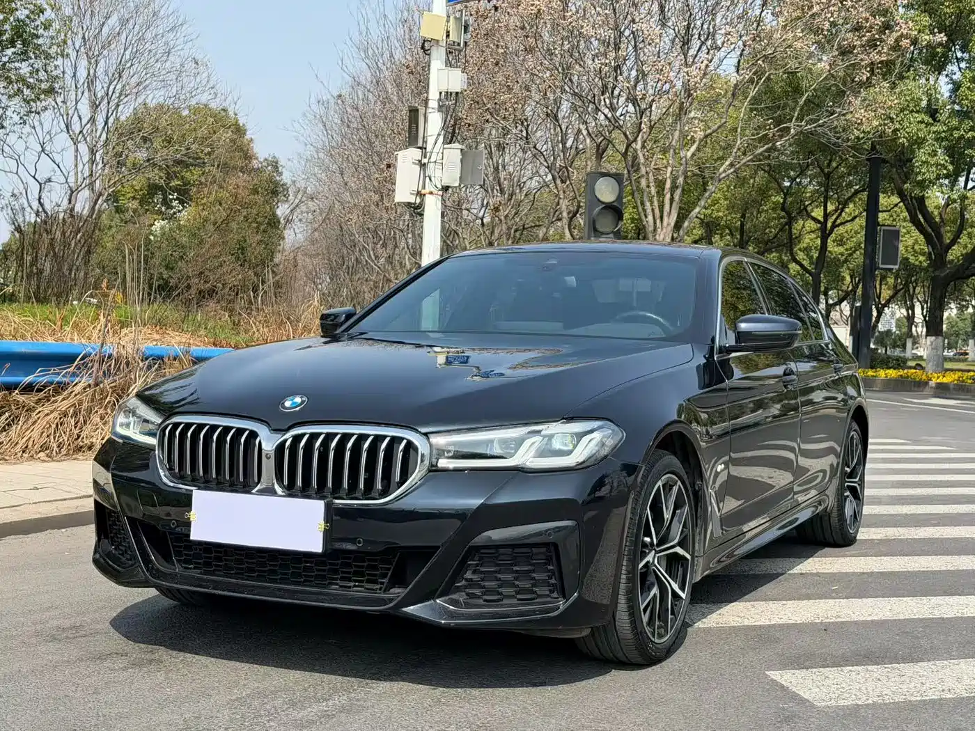 BMW 5 Series 2022 530Li Exclusive M Sport Package