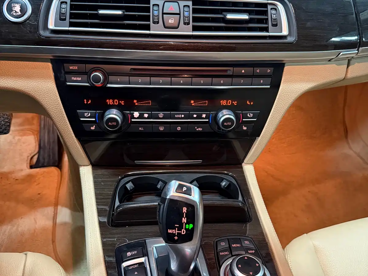 BMW 7 Series 2009 730Li Leading фото 13