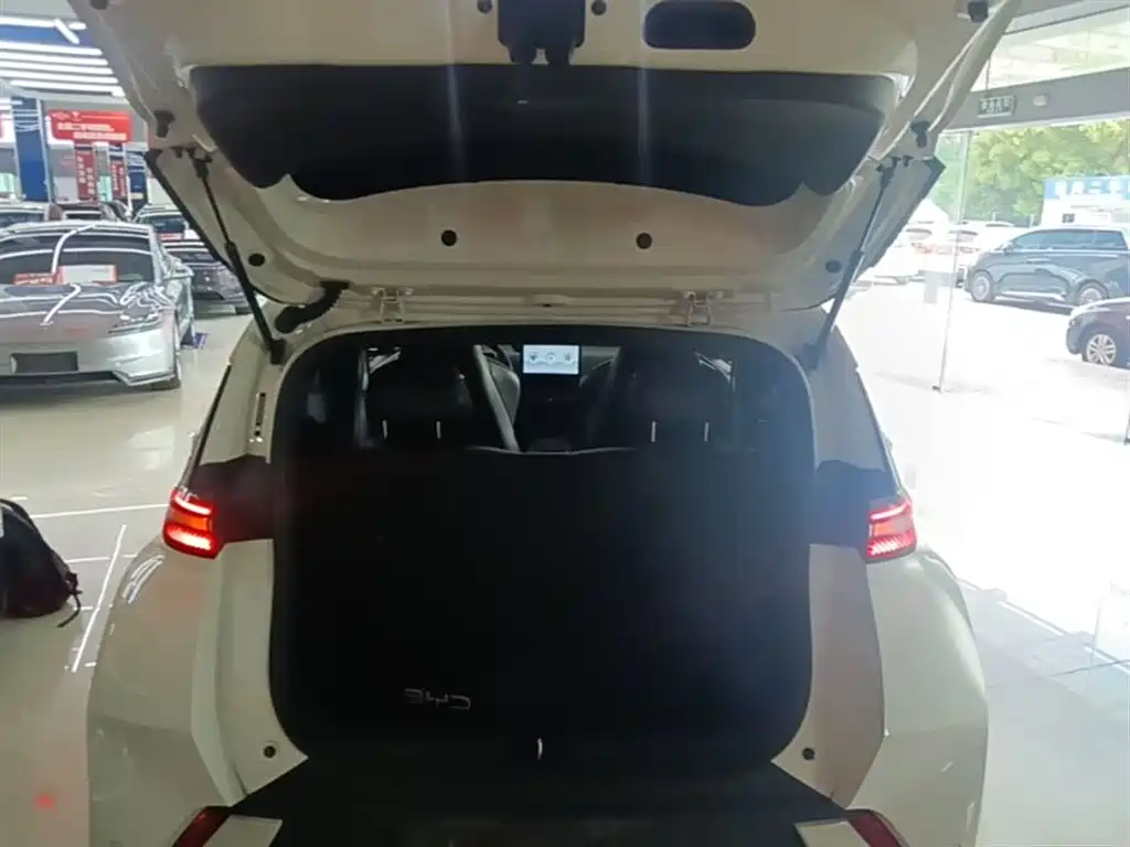 BYD Seagull 2025 305km Vitality фото 19