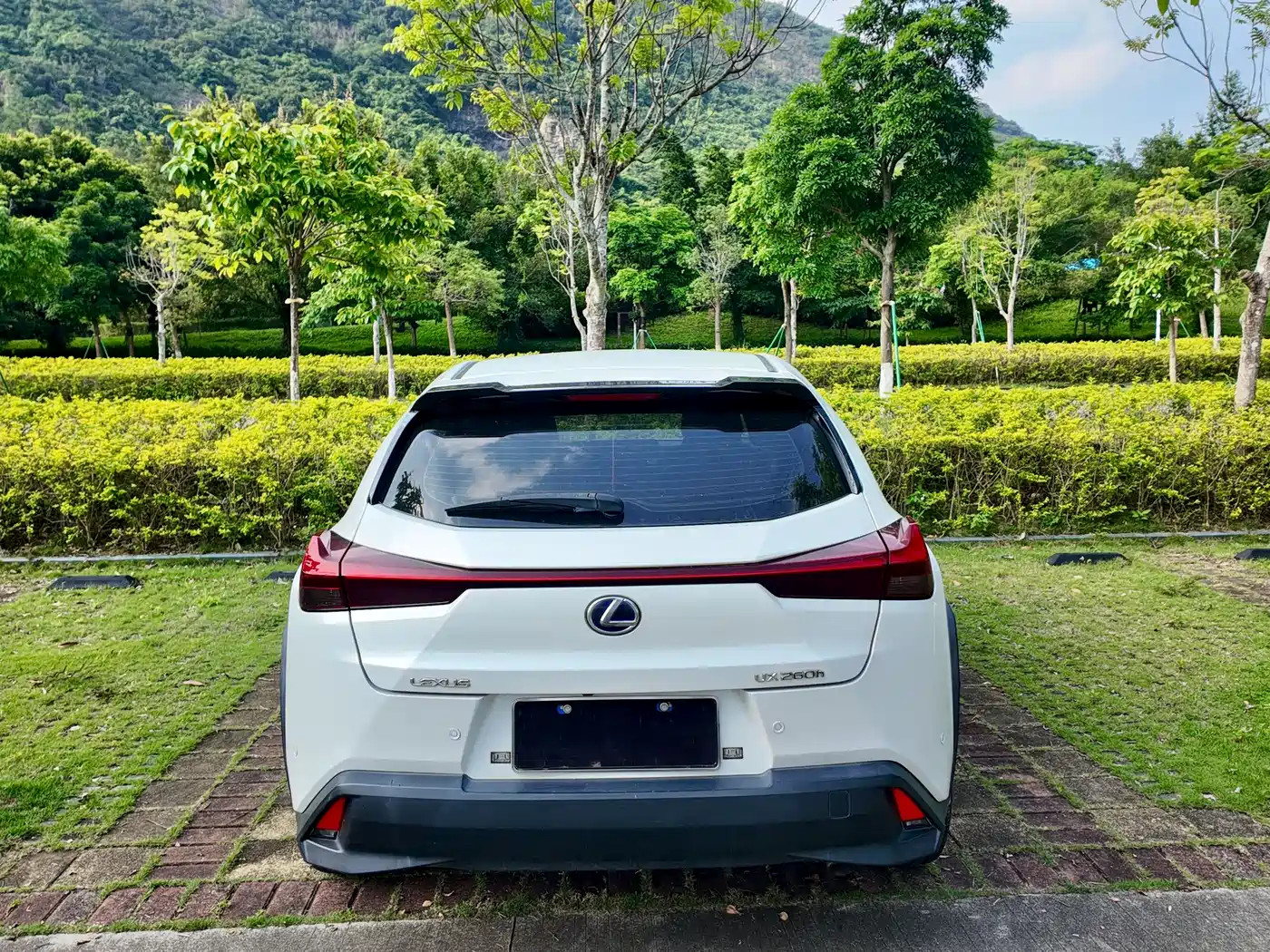 Lexus UX 2019 2019 260h Explorer Cool Edition (China V)