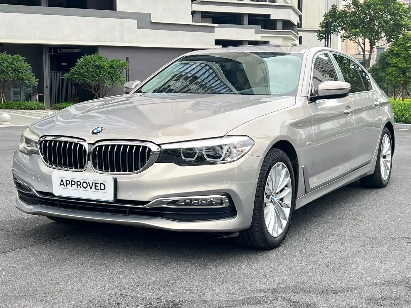 BMW 5 Series 2018 530Li Leading Luxury Package
