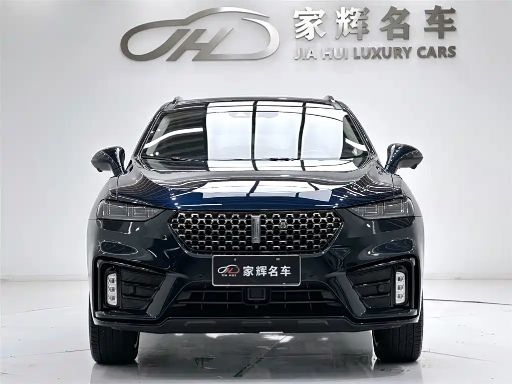 WEI PAI WEI BRAND VV7