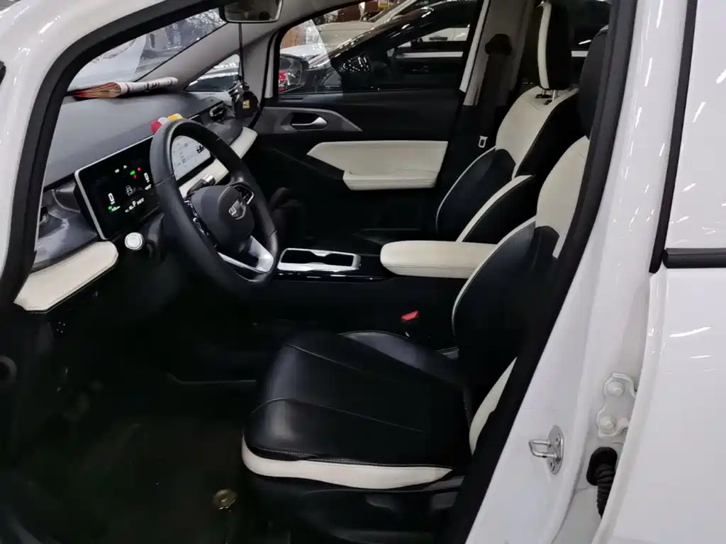 Geely Geometry E Firefly 2024 2024 401km Starlight