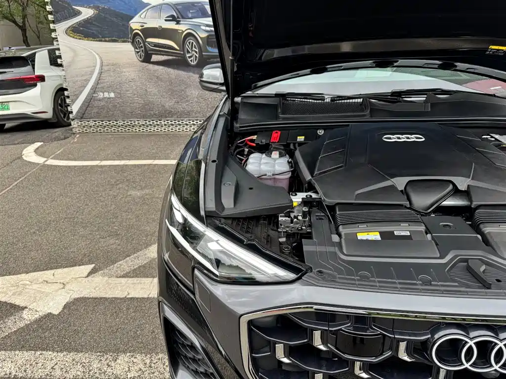 Audi Q8 2025 2024 55 TFSI Luxury Sport