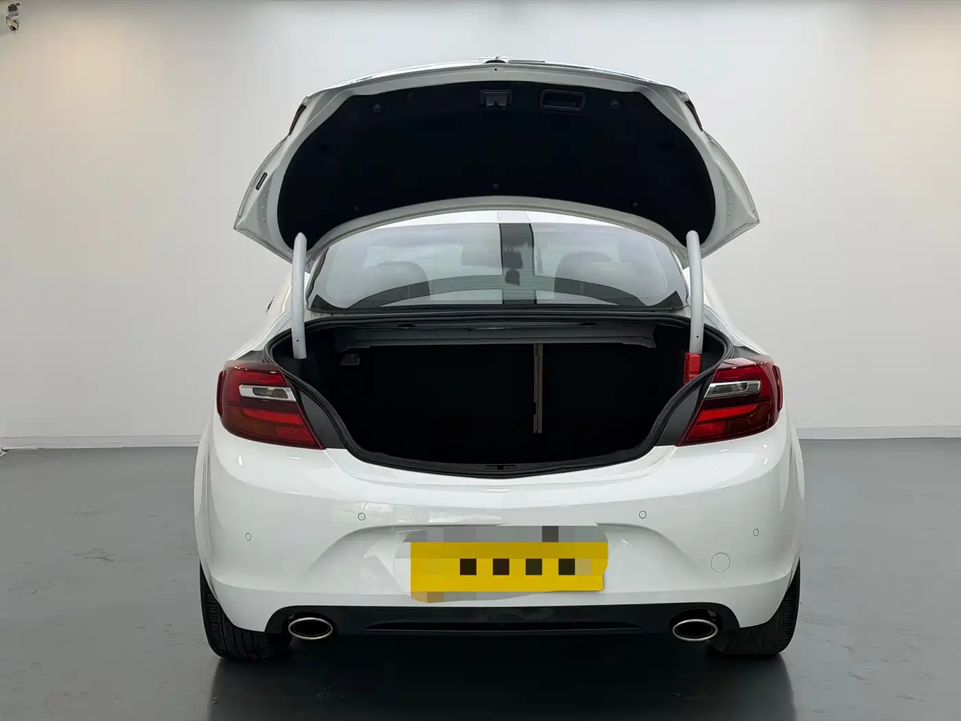 Buick Regal 2014 2.0L Leading Fashion Type фото 3