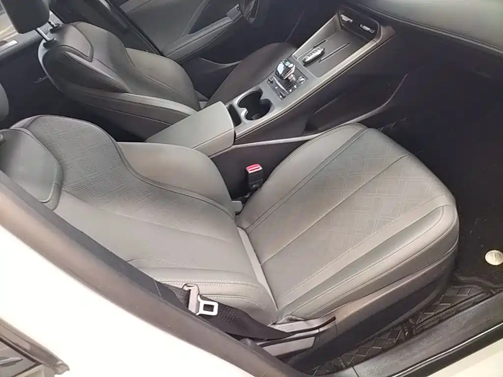 BYD Qin PLUS 2025 DM-i Smart Drive 55KM Leader фото 25