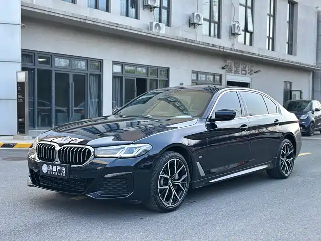 BMW 5 SERIES