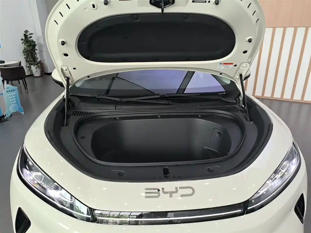 BYD Hai Shi 05 EV 2025 520KM Flagship Smart Navigation Edition фото 20