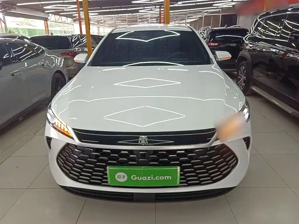 BYD Qin PLUS 2025 DM-i Smart Drive 55KM Leader фото 3