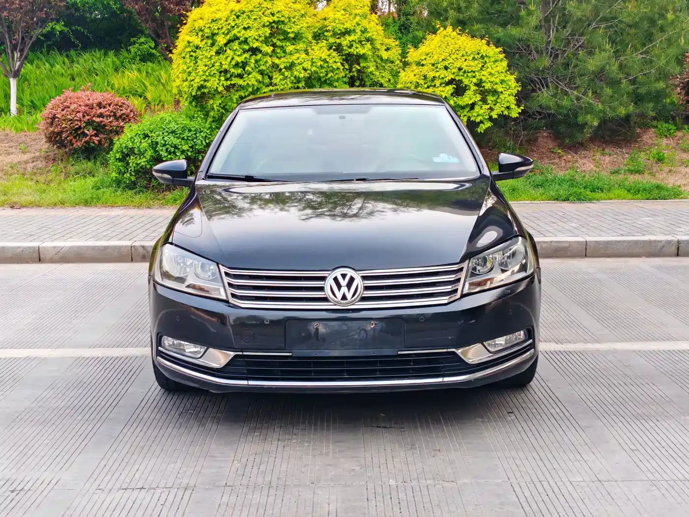 Volkswagen Magotan 2013 1.8TSI Luxury фото 4