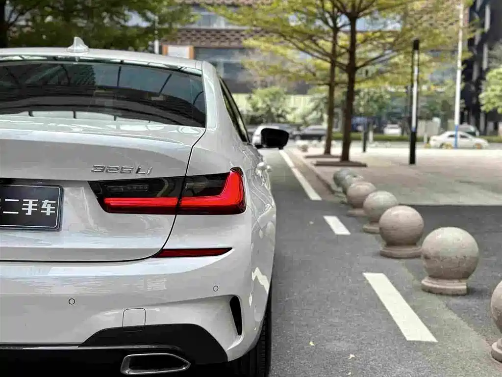 BMW 3 Series 2020 325Li M Sport Package фото 21
