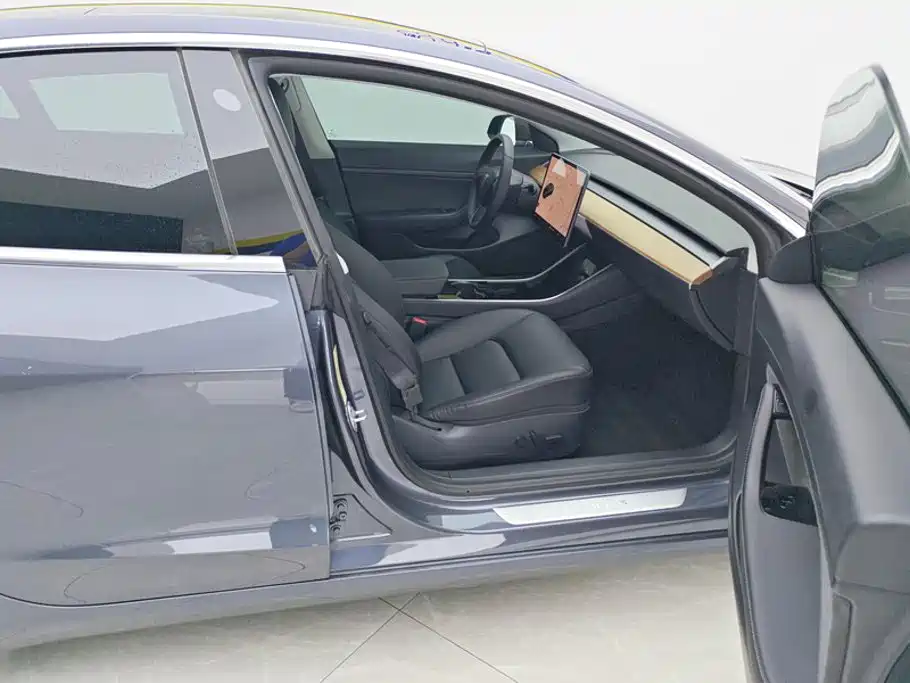 Tesla Model 3 2020 2019 Standard Range Rear-Wheel Drive Upgrade
