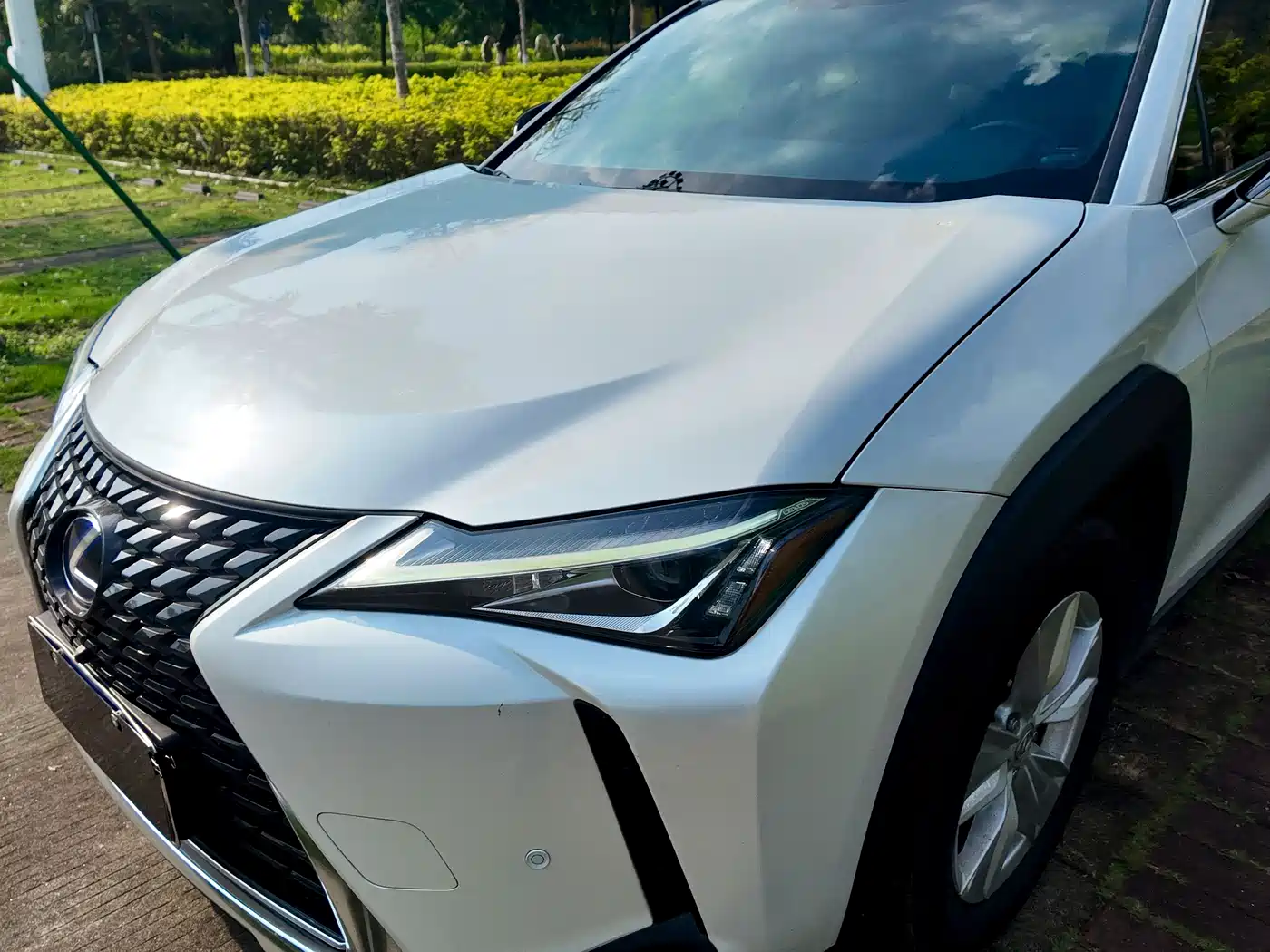 Lexus UX 2019 2019 260h Explorer Cool Edition (China V)