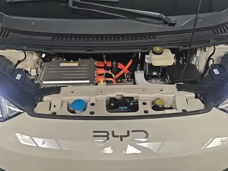 BYD Seagull 2026 2025 Smart Drive Edition 305km Vitality Version