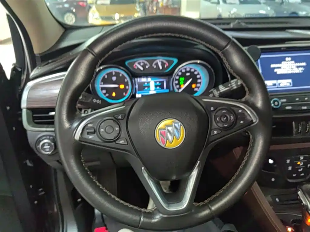 Buick Envision Plus 2017 20T 2WD Luxury фото 11