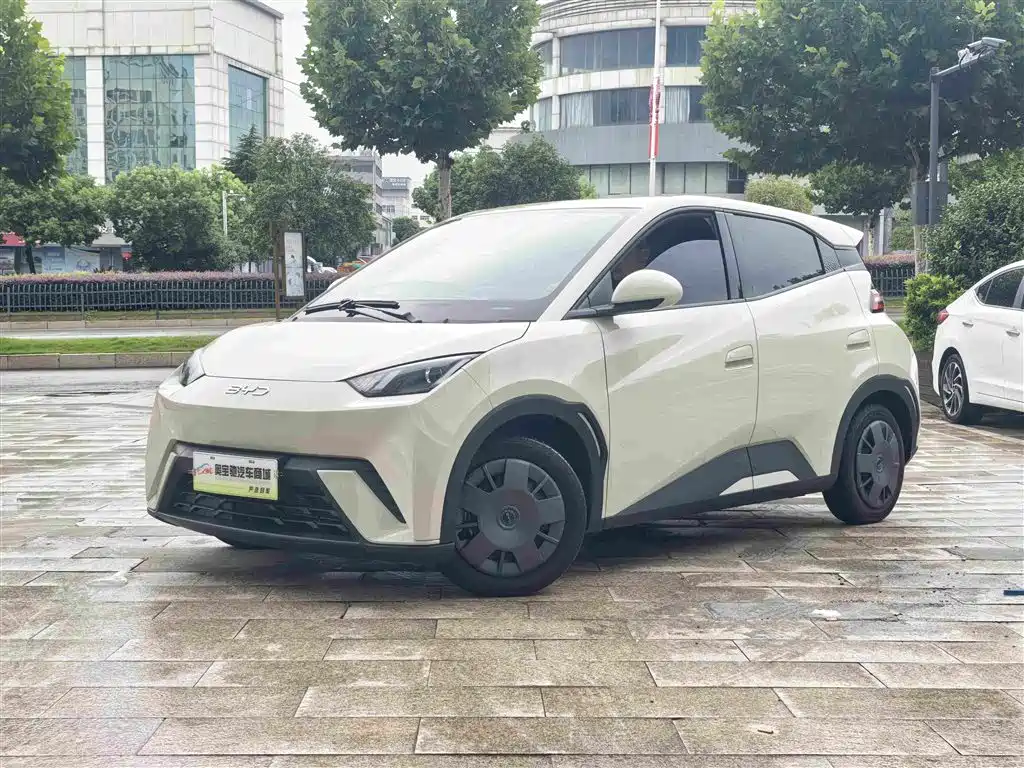 BYD Seagull 2024 Glory Edition 305km Vitality Edition