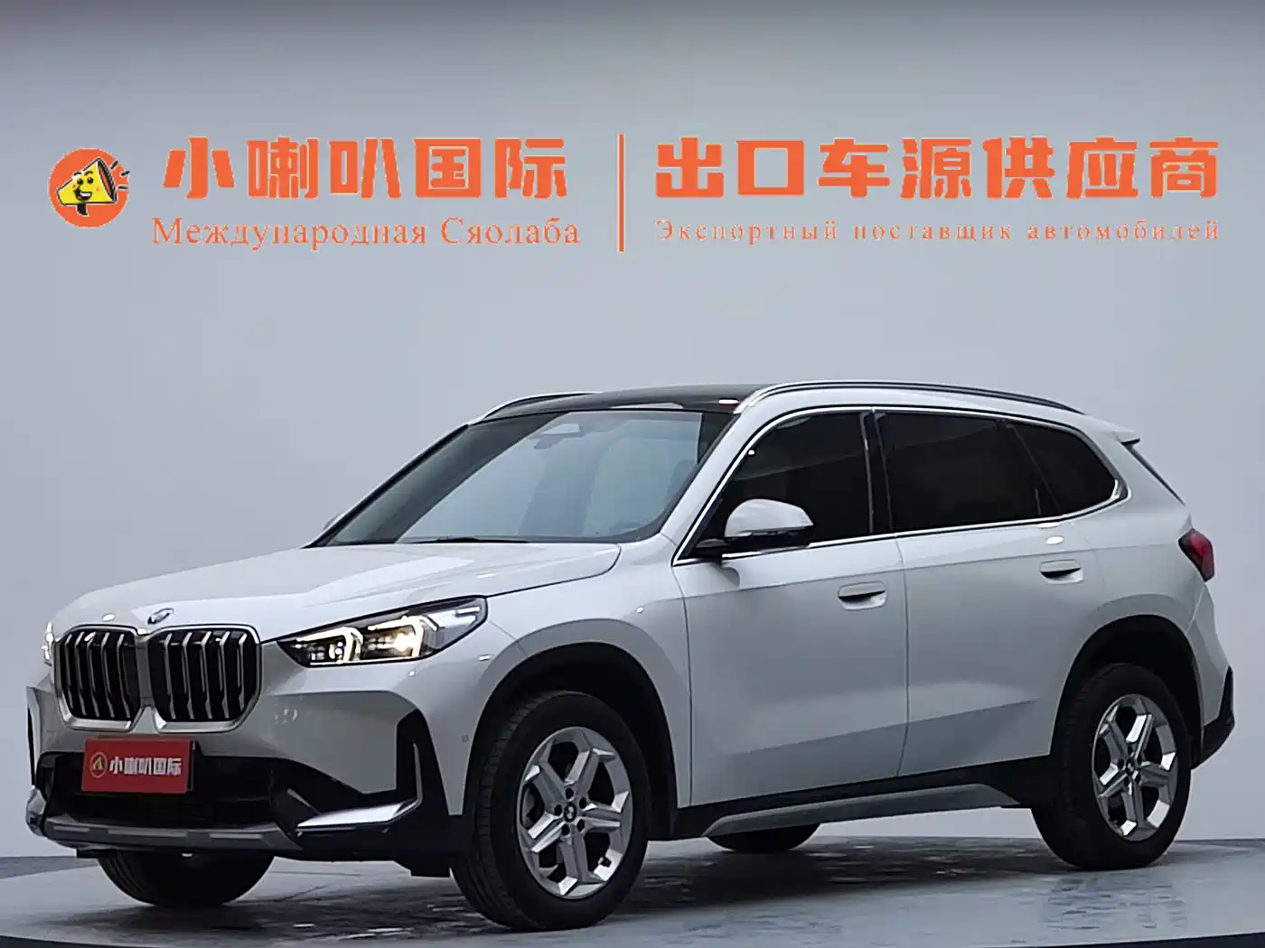 BMW X1 2023 sDrive20Li X Design Package