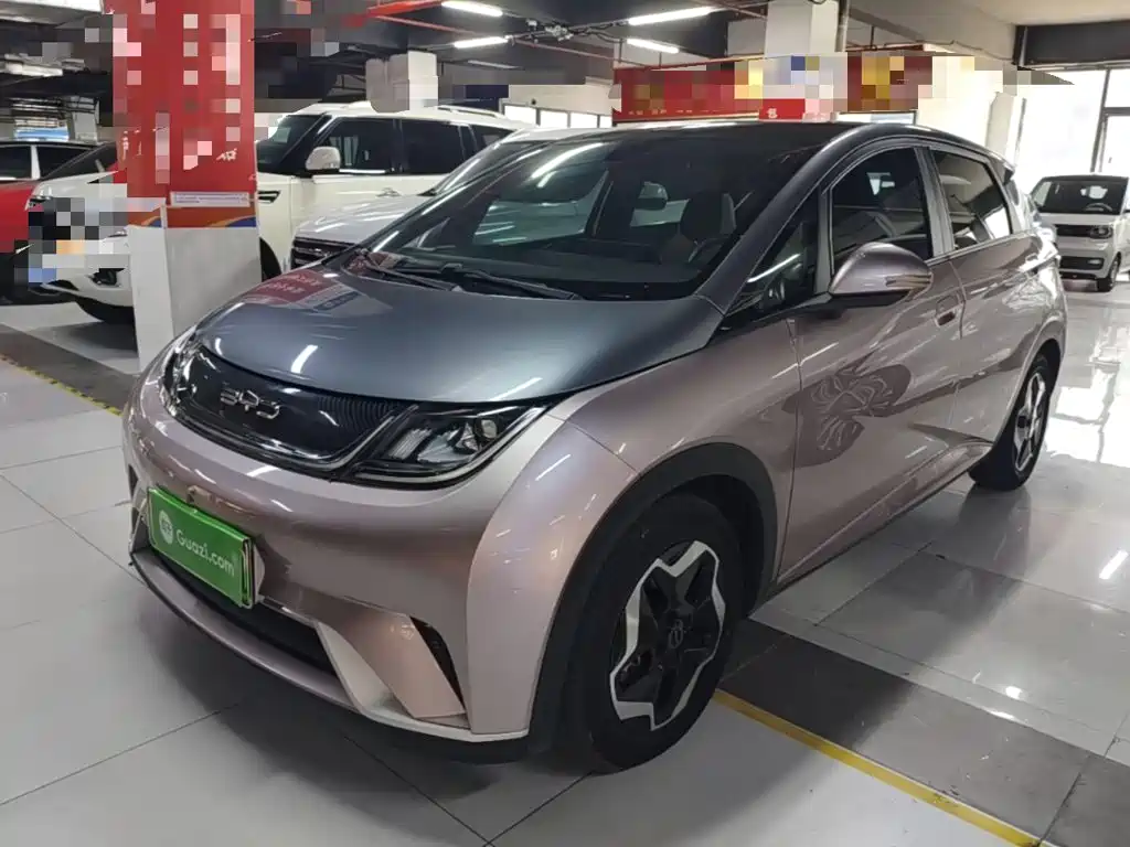 BYD Dolphin 2021 2021 Model 405km Fashion Edition