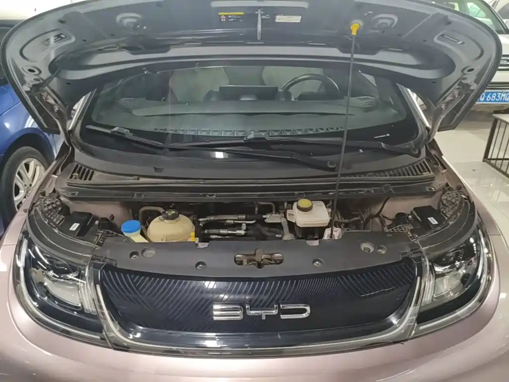 BYD Dolphin 2021 2021 Model 405km Fashion Edition