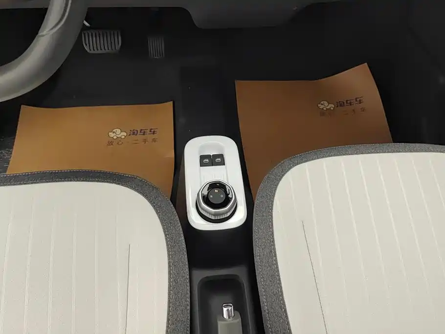 Geely Galaxy Panda 2026 2025 Panda mini 210km Vitality Bear
