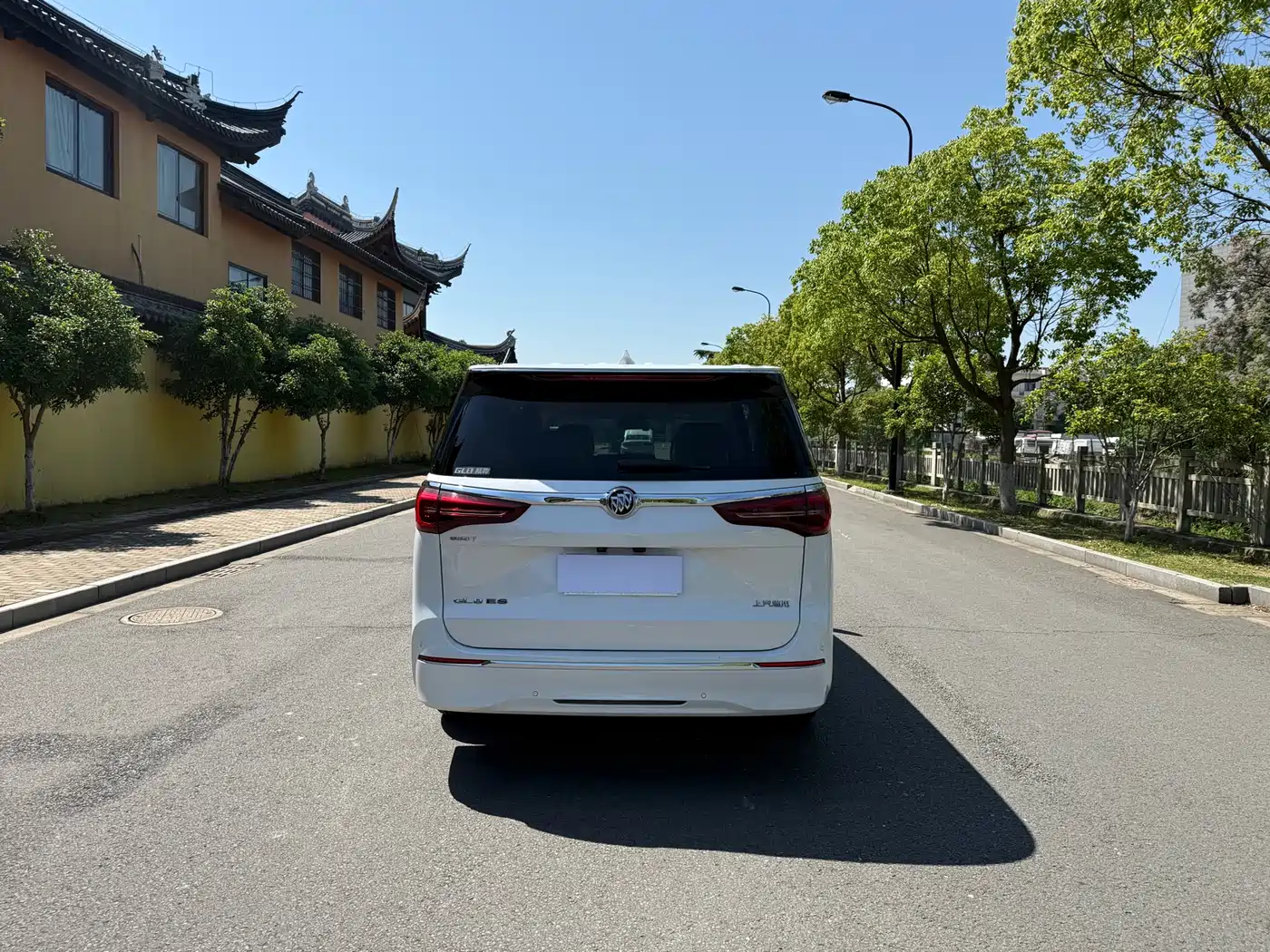 Buick GL8 2021 ES Landlord 653T Luxury фото 6
