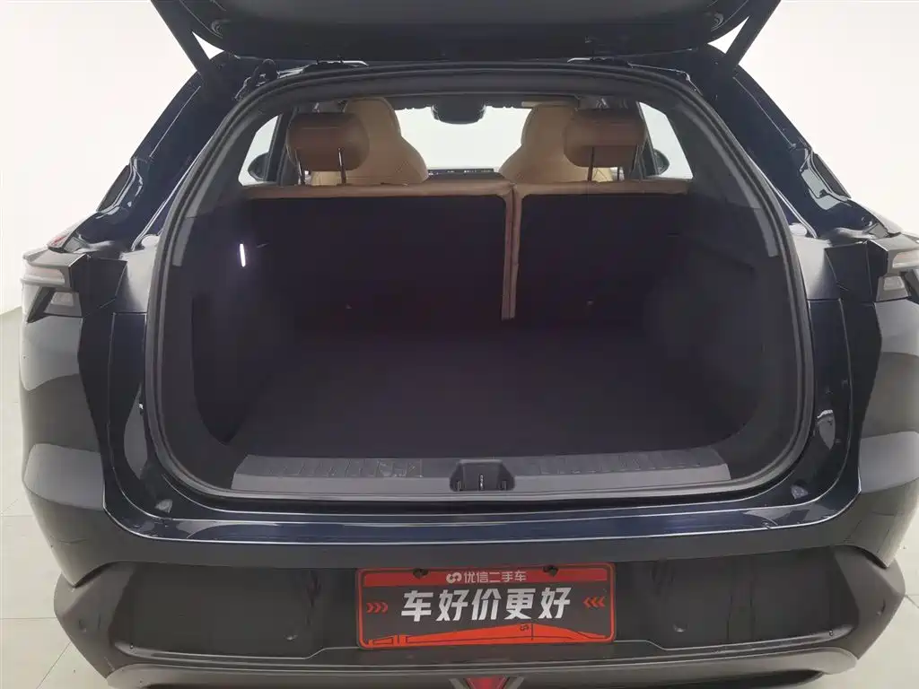 ARCFOX EXTREME FOX POLAR FOX ALPHA T5