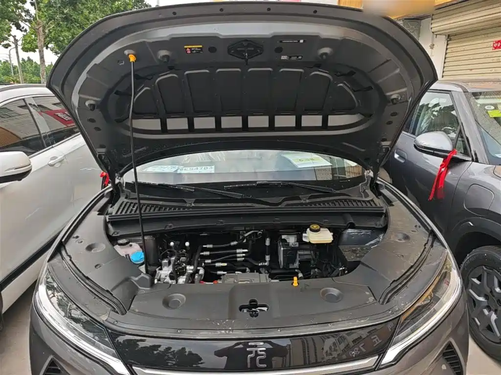 BYD Yuan UP 2025 Model 301KM Navigator фото 20
